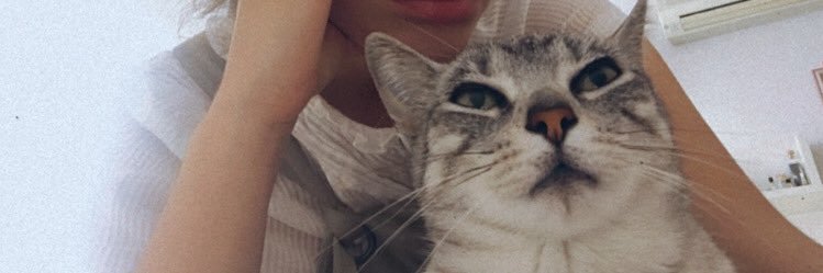 JuliaFranch1's profile banner image