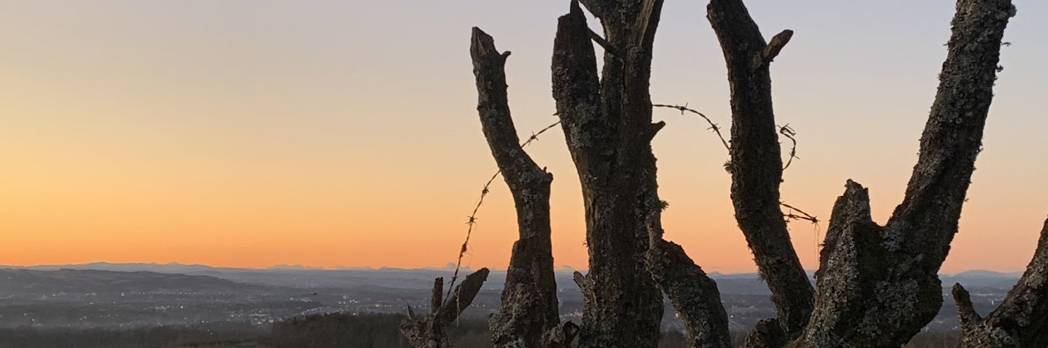 JoeGreen007's profile banner image