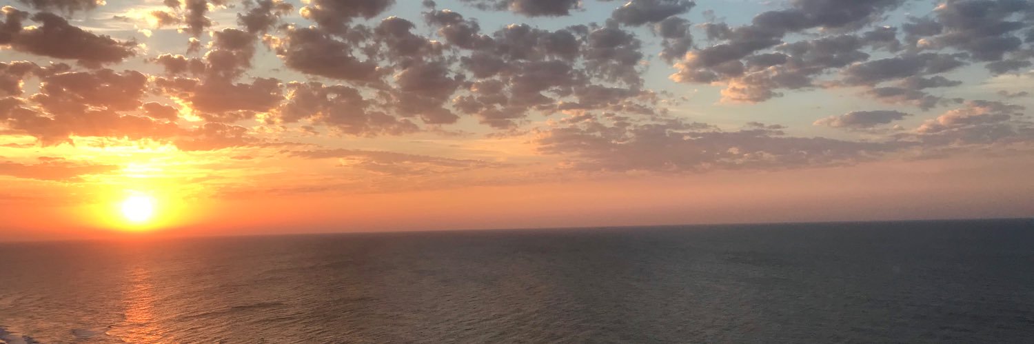 FalknerCristi's profile banner image