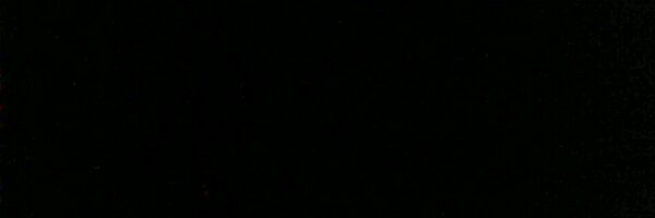 FeralsOfficial Profile Banner