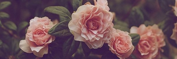jasminesmart2's profile banner image