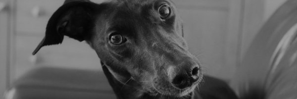 emerhickk Profile Banner