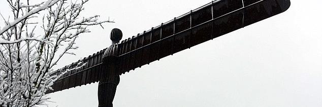 Ginger_bookgeek's profile banner image