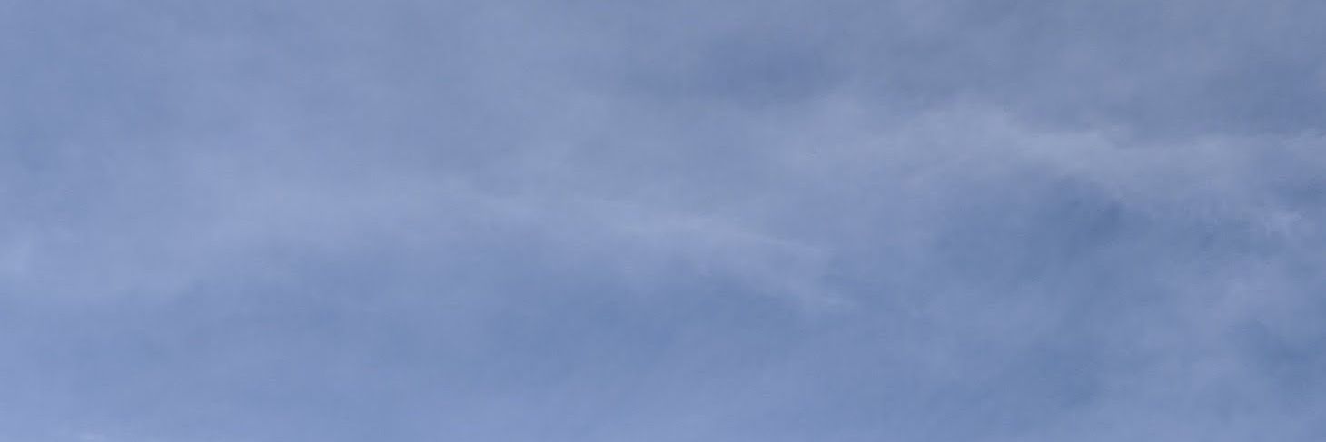 OnArap banner