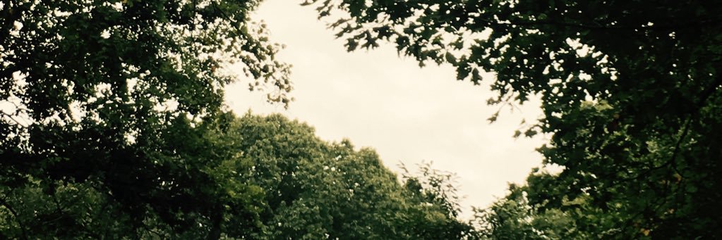 NotSoMightyBen1's profile banner image