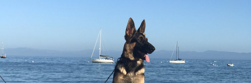 BreaSanchez_'s profile banner image