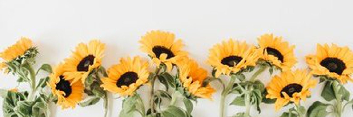 _lucyarmstrong's profile banner image