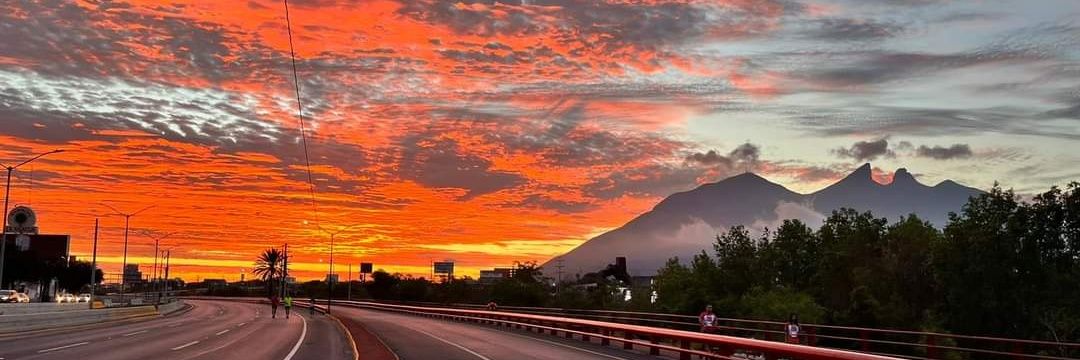 Judith Medrano banner