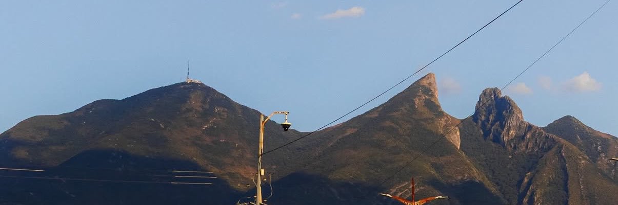 prisscilammt's profile banner image