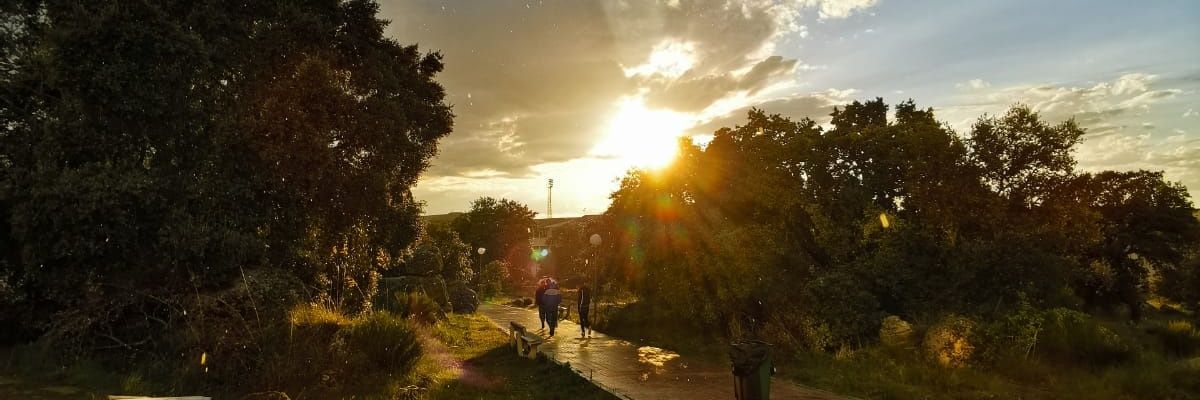 diegoarenas9's profile banner image