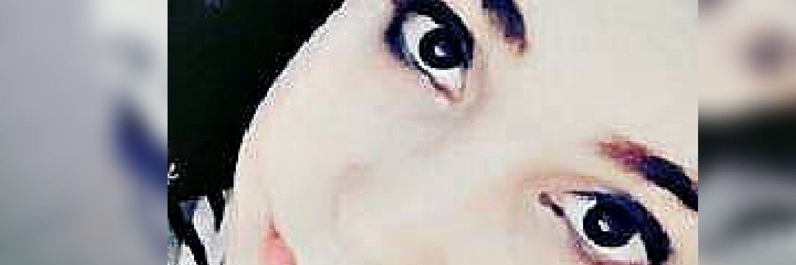 AlexRizzo94's profile banner image