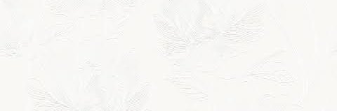 netoocar's profile banner image