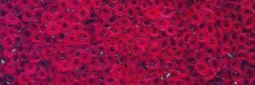 GeorginaQuint's profile banner image