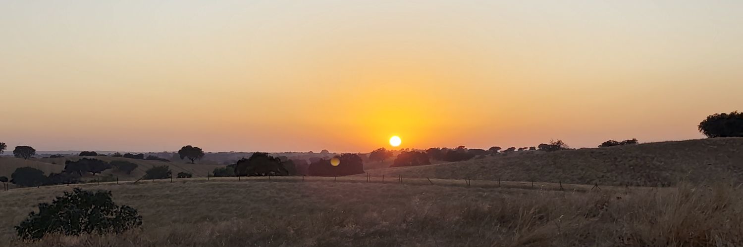 Ricardo Lourenço banner