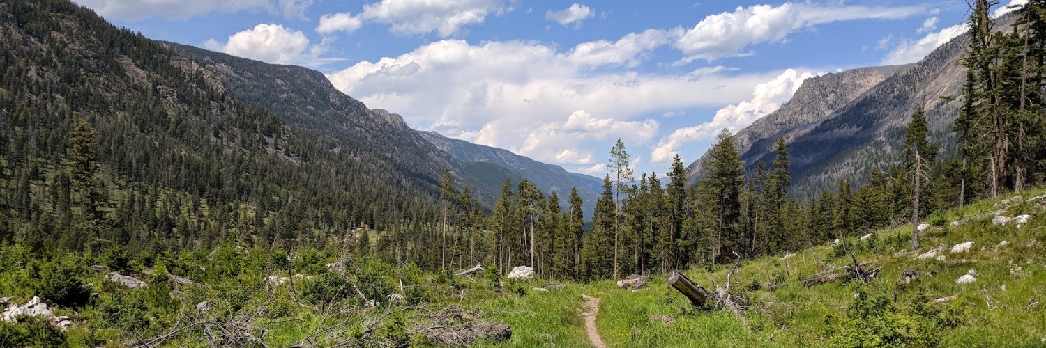 therealhannahmt's profile banner image