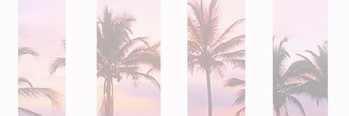 Steven Rosini banner