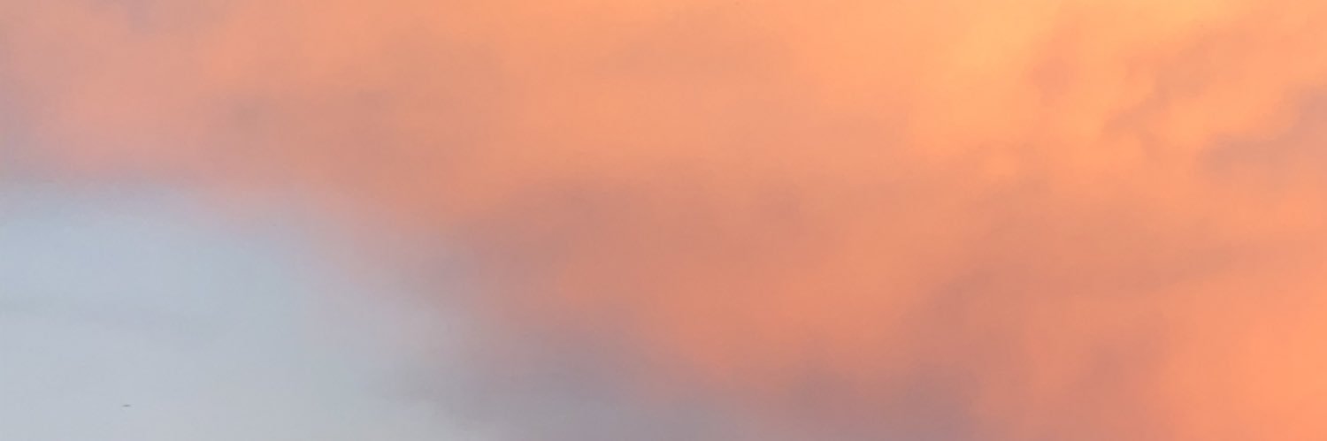 janneandr's profile banner image