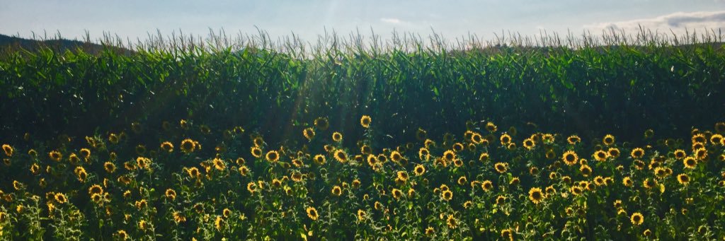 lindssss13's profile banner image