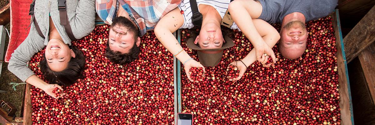 Starvation Alley banner