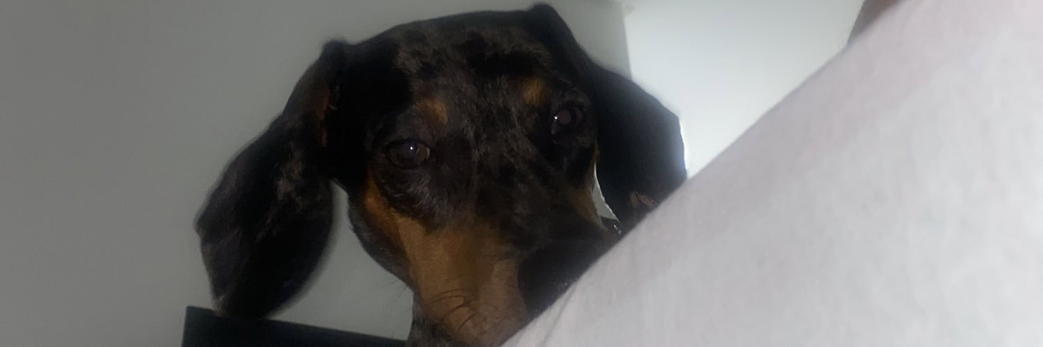 isabellaa_pl's profile banner image