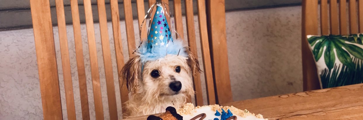 mmmelanee's profile banner image