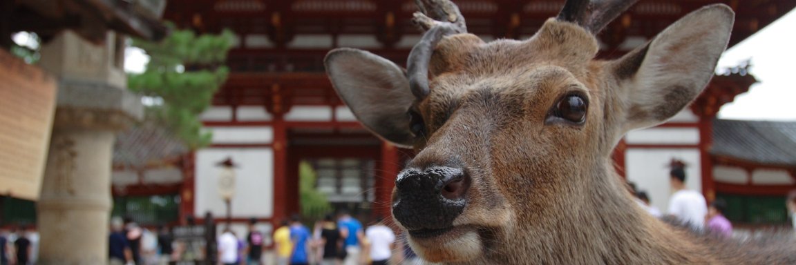 gamekan33's profile banner image