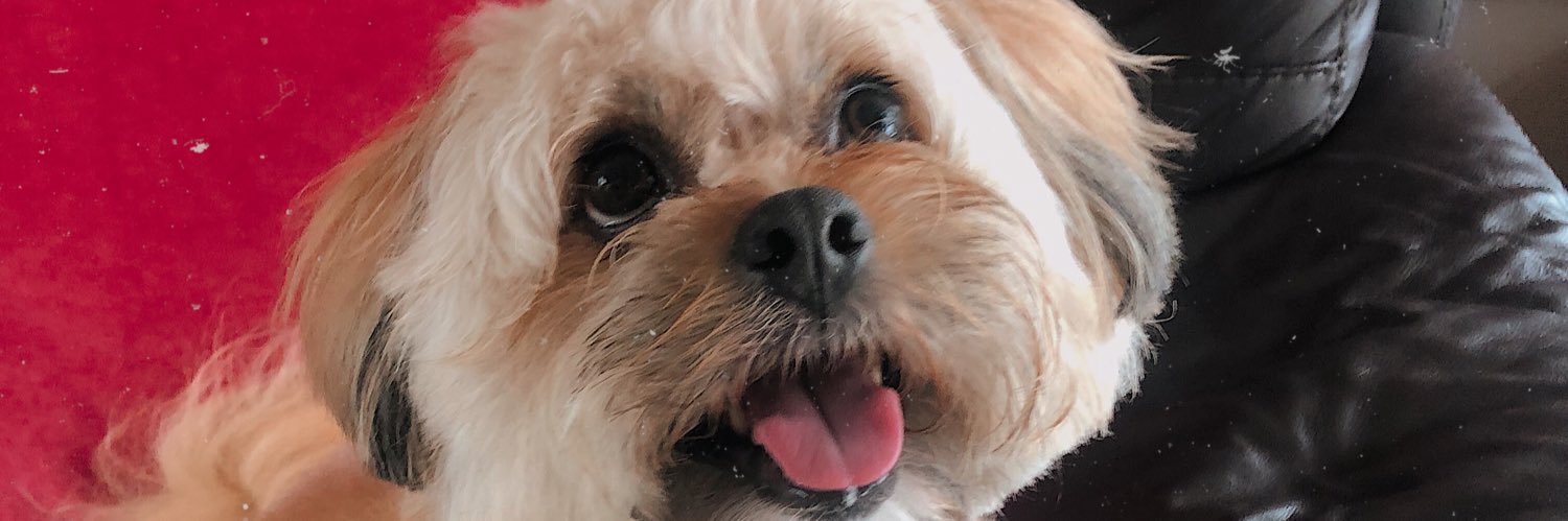 amcbridexox's profile banner image