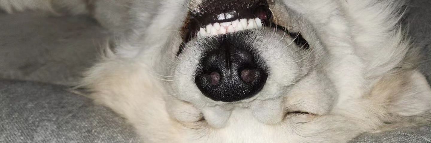 PascalouPilon7's profile banner image