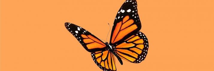 Funsizednay's profile banner image