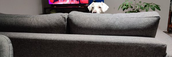 ChubbyGris Profile Banner
