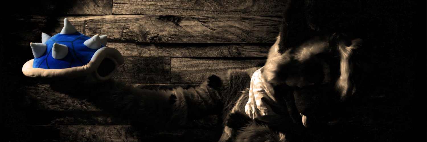 DoggoHoo's profile banner image