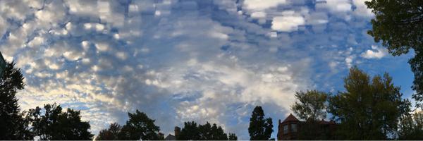 BerryS730 Profile Banner