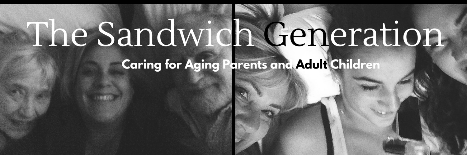 SandwichGen2015's profile banner image