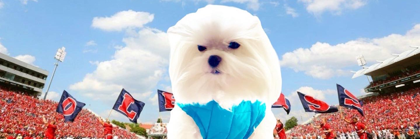 SouthernSmack's profile banner image