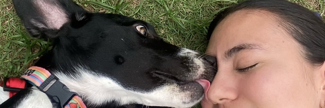 gluisafernanda3's profile banner image