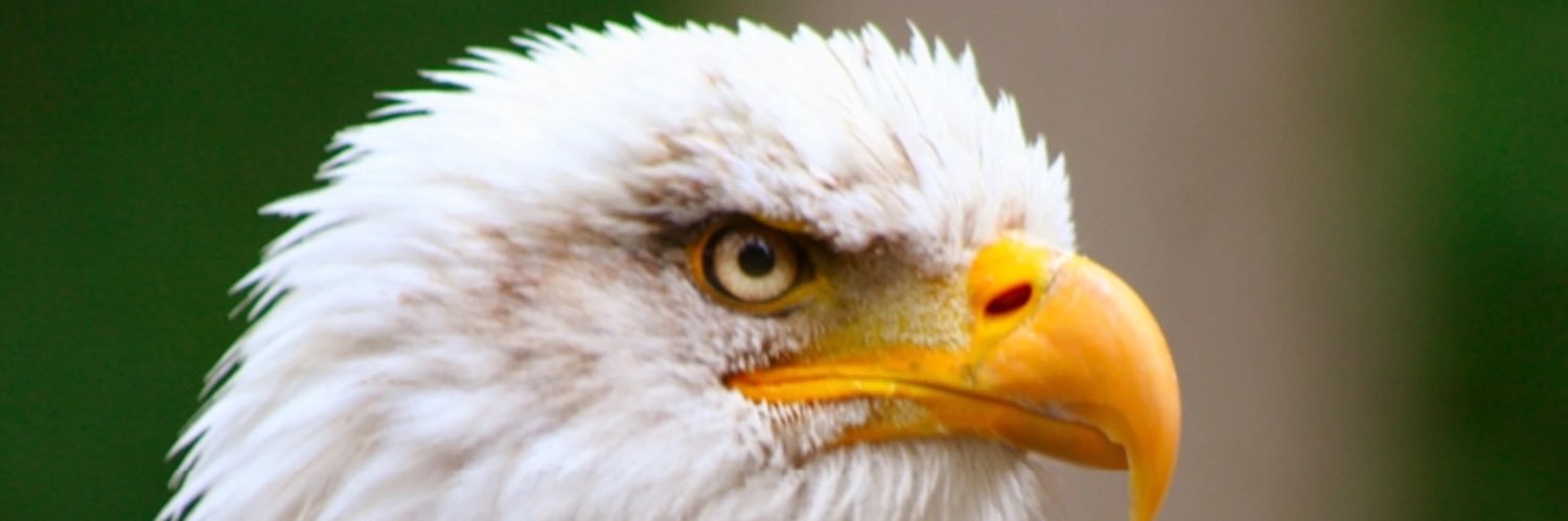 dbcontracting2's profile banner image