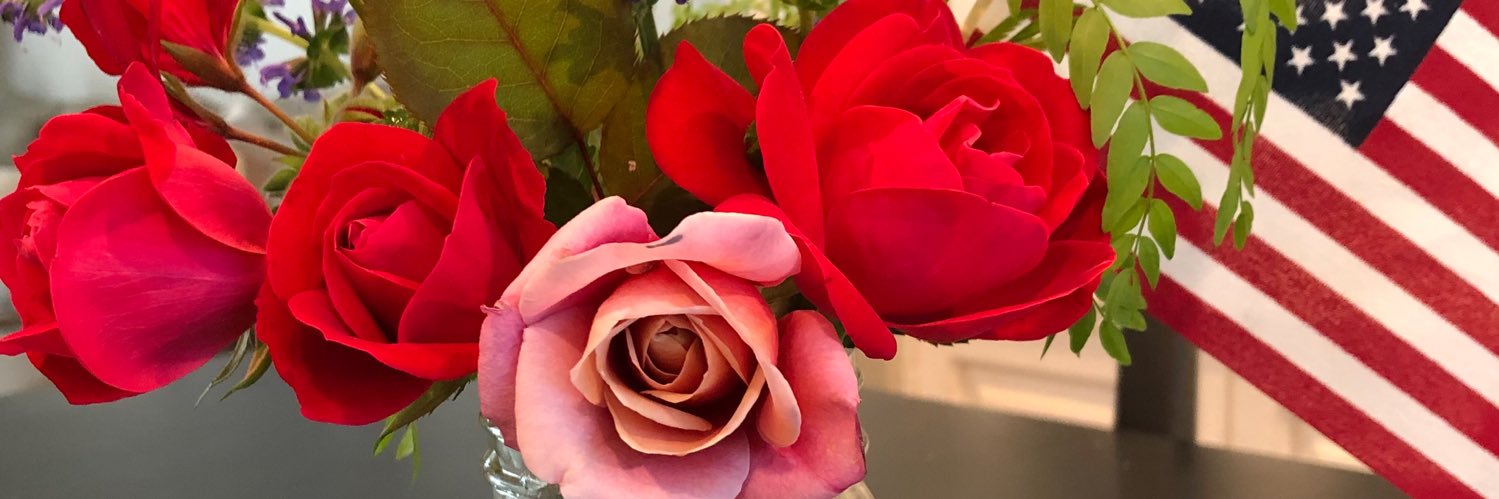IAmSewHappy's profile banner image