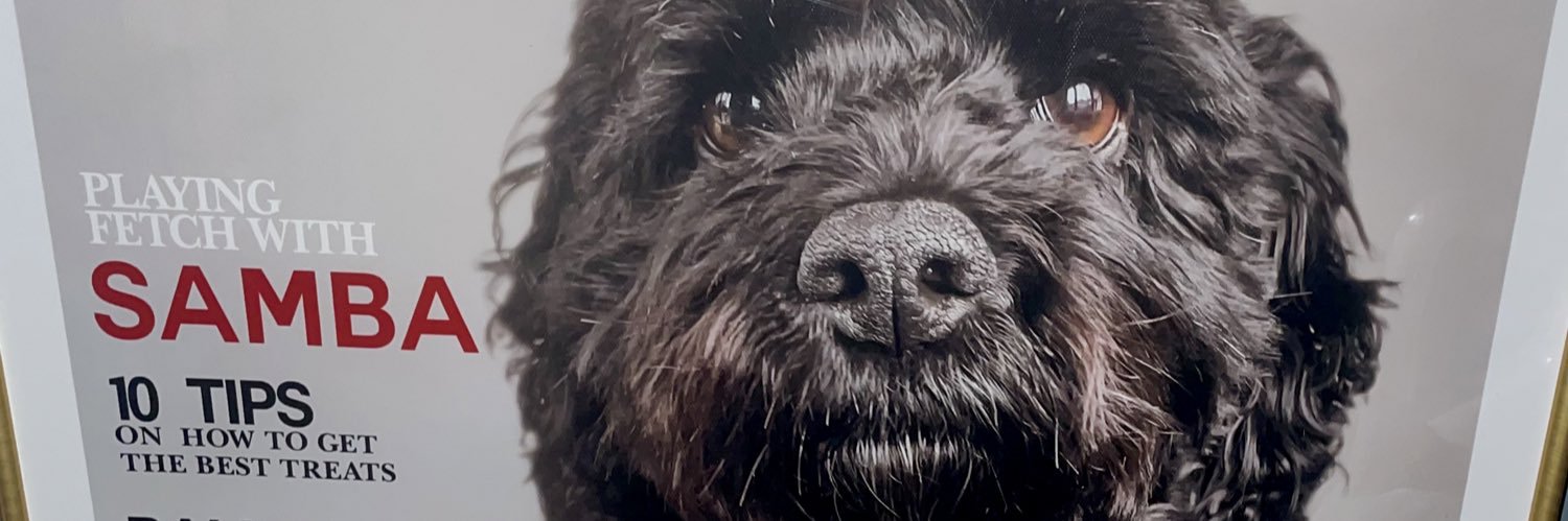 Bryan Wallace 🏴󠁧󠁢󠁳󠁣󠁴󠁿 🇻🇦 banner