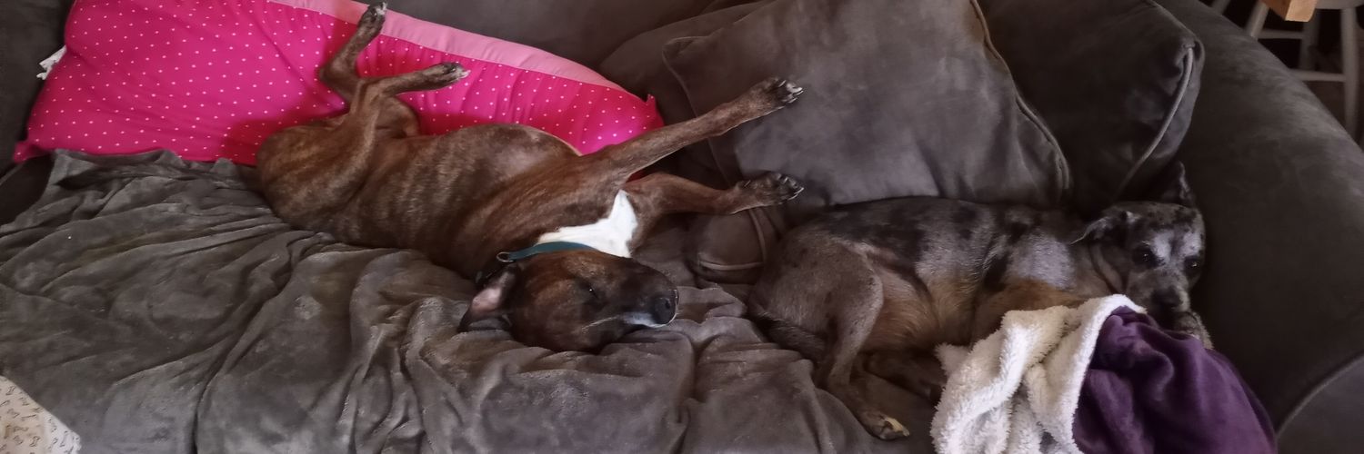 Tonnie 🇺🇸 🏁 banner