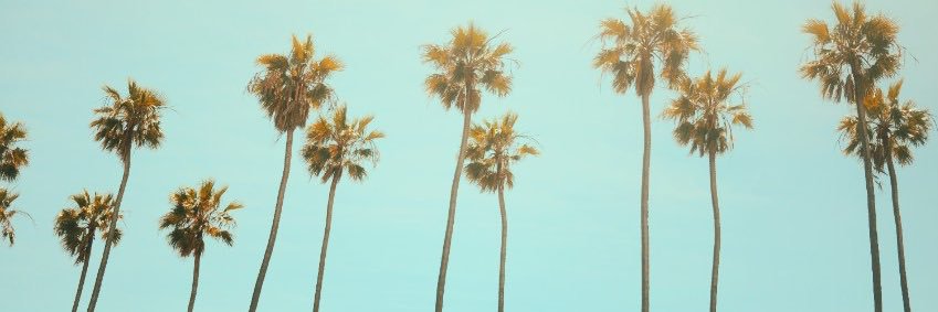 Marquis Pratt banner