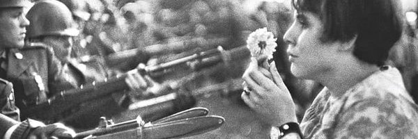 amanda_mwd Profile Banner