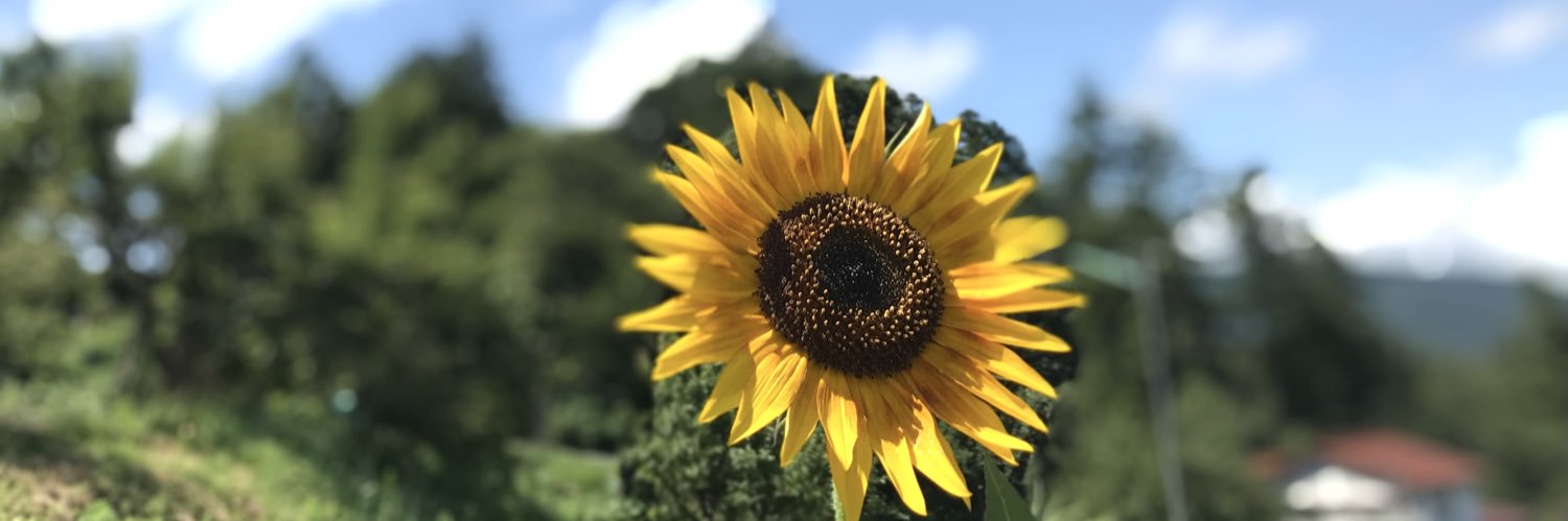 about_3's profile banner image