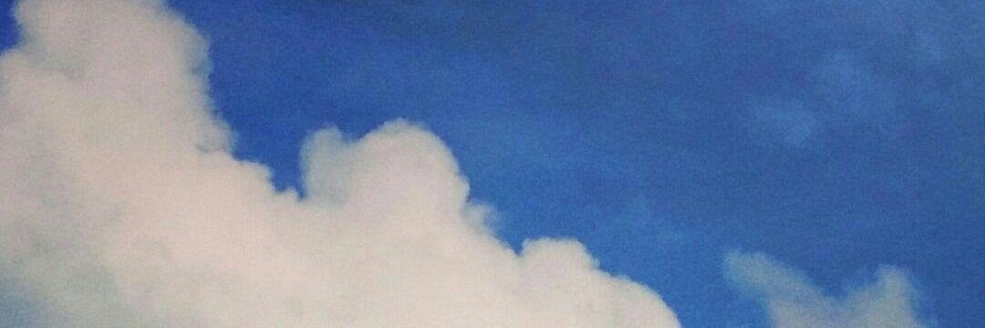 selimoviclover banner