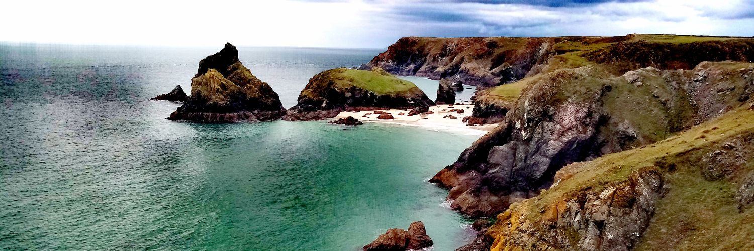 Sarah Wickett banner