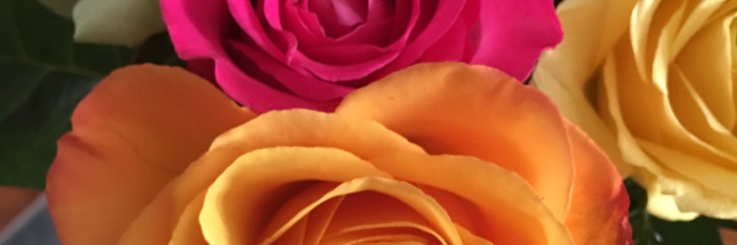 kreeses's profile banner image
