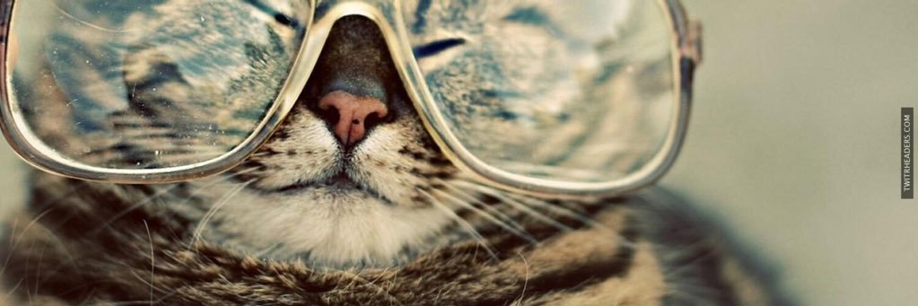 MorganEwatsonn's profile banner image