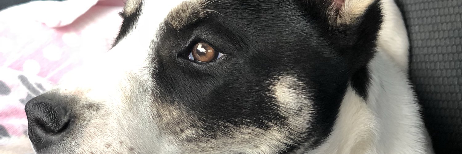JudithNavarro6's profile banner image