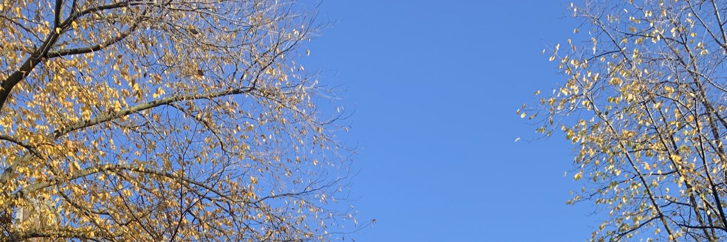 AmberrPatel's profile banner image