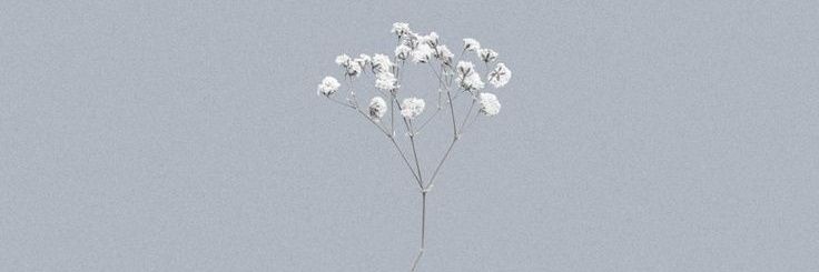 Pinku_moon's profile banner image