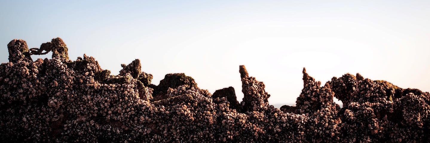 em_burnie's profile banner image
